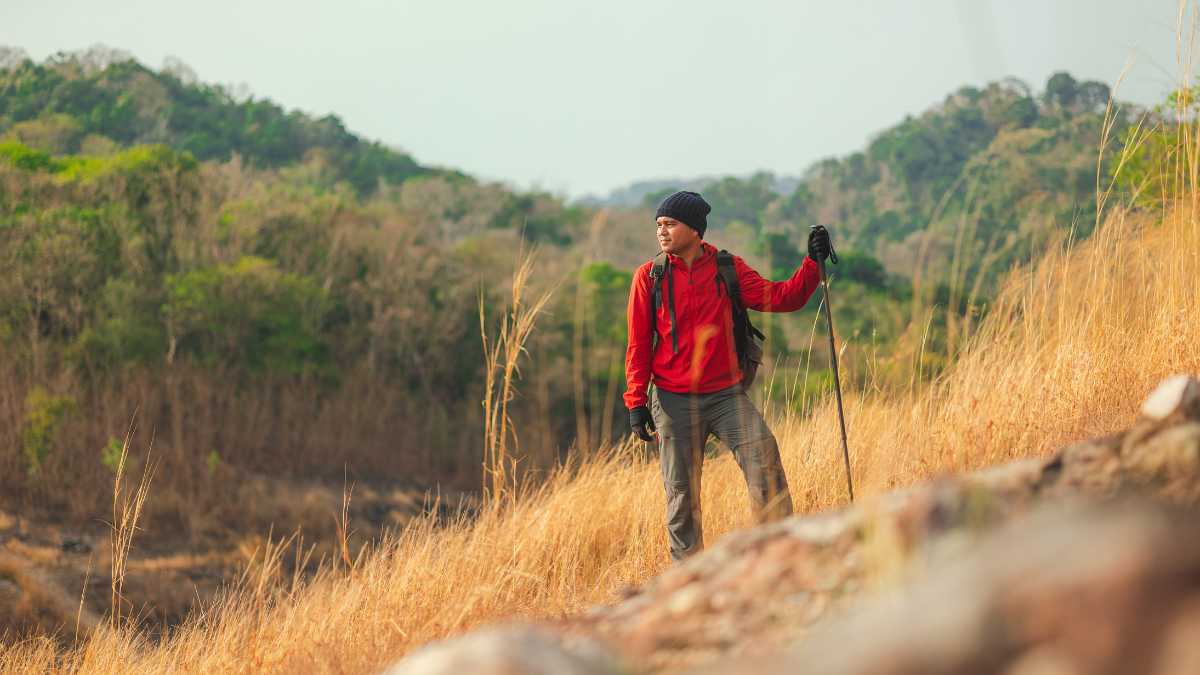 I migliori trekking vicino a Saint-Vincent: avventure nella natura valdostana